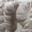 Boucherie charcuterie Christophe Billard. Andouille