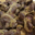 Boucherie charcuterie Moulian. Gésiers de canard confits