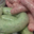 Boucherie De Bas En Basset. Saucisses