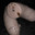 Boucherie Rousseau. Boudin blanc de volailles