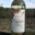 Domaine de l'Oppidum des Cauvins. Muscat moelleux