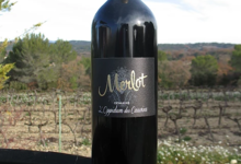 Domaine de l'Oppidum des Cauvins. Merlot