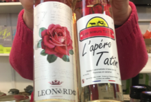 Léonardo Boisson de la Renaissance