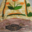 ballotine de pintade aux marrons et trompettes