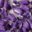 bonbon acidulés saveur violette