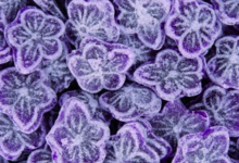 bonbon acidulés saveur violette. forme fleur