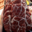 Boucherie La Tourangelle. Crépinette de merguez
