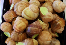 Boucherie Vernerey. Escargots