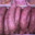 Boucherie Grobon