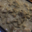 rognonnade de veau