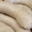 Boucherie charcuterie BLANC. Boudin blanc aux morilles