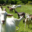 Ferme De Catbru