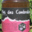 Rucher des radis. Miel des Combrailles