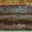 Charcuterie de la gare. Terrine tout cochon