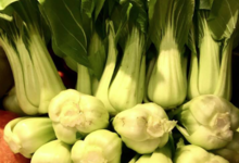 Maison Argentain. Pack choy