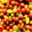 Maison Argentain. tomate cerise