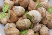 Charcuterie Fessard. Escargots