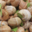 Charcuterie Fessard. Escargots
