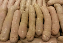 Charcuterie Fessard. Andouillettes a la ficelle