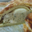 Boulangerie Contrepois. Pâté de Pâques