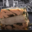 Charcuterie Traiteur Darde. Terrine aux deux poissons
