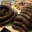 Charcuterie Haas. Boudin noir