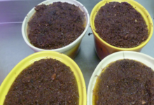 Charcuterie Joel Joly. Pâté
