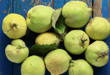 Favols, quand les fruits ont du génie