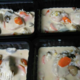 Charcuterie traiteur Aumaille. blanquette de veau