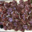 Charcuterie Auzet