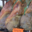 Charcuterie Casamayou & Fils. Jambon Manex