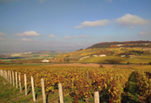 Champagne Esterlin