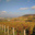 Champagne Esterlin