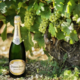Champagne Perrier Jouet