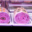 Charcuterie Wiest. ballotines