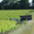 Domaine de Sainte-Anne