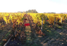 Domaine De Salvert