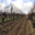 Domaine De Salvert