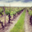 Domaine De Salvert