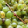 Domaine De Salvert