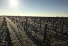 Domaine Leduc Frouin. La Seigneurie