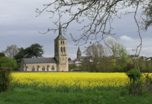 Vignoble Dessèvre - Domaine de Gatines