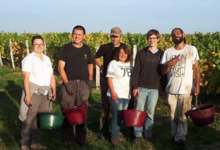 Vignoble Dessèvre - Domaine de Gatines