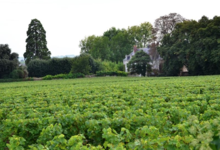 Château de Varrains