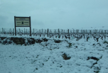 Domaine des hautes vignes