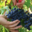 Domaine des hautes vignes