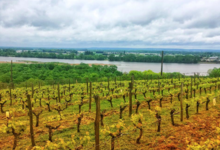 Domaine Pierre-Adrien Vadé. Chai Vadé