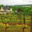 Domaine Pierre-Adrien Vadé. Chai Vadé