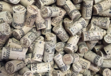 Domaine Pierre-Adrien Vadé. Chai Vadé