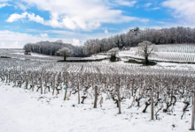 Domaine Pierre-Adrien Vadé. Chai Vadé